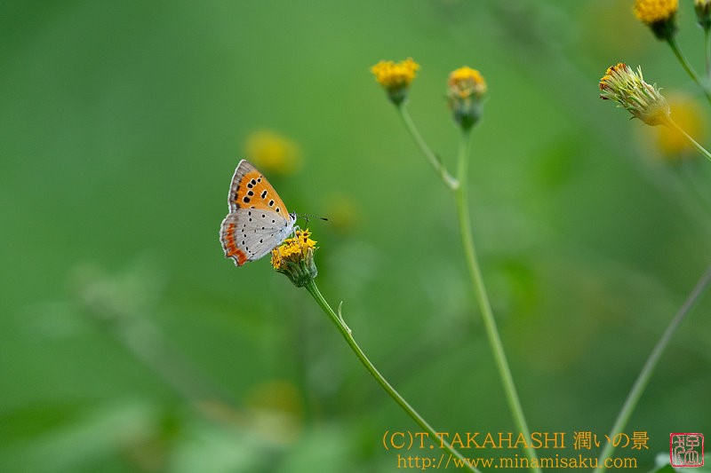 ../Images/7R241027 (95).jpg